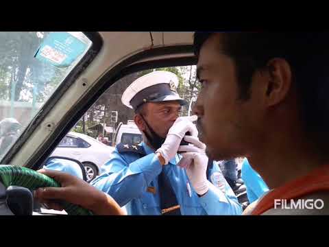 traffic maailmaparandaja mp3 traffic maailmaparandaja mp3